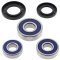 Wheel bearing and seal kit All Balls Racing