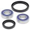 Wheel bearing and seal kit All Balls Racing