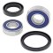 Wheel bearing and seal kit All Balls Racing