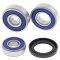 Wheel bearing and seal kit All Balls Racing