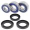 Wheel bearing and seal kit All Balls Racing