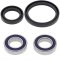 Wheel bearing and seal kit All Balls Racing