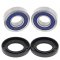 Wheel bearing and seal kit All Balls Racing