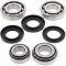 Differential bearing and seal kit All Balls Racing