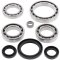 Differential bearing and seal kit All Balls Racing