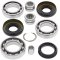 Differential bearing and seal kit All Balls Racing