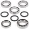 Differential bearing and seal kit All Balls Racing