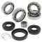 Differential bearing and seal kit All Balls Racing