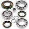 Differential Bearing and Seal Kit All Balls Racing