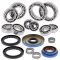 Differential Bearing and Seal Kit All Balls Racing