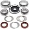 Differential Bearing and Seal Kit All Balls Racing