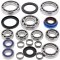 Differential Bearing and Seal Kit All Balls Racing