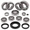 Differential Bearing and Seal Kit All Balls Racing