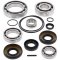 Differential Bearing and Seal Kit All Balls Racing