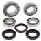 Differential bearing and seal kit All Balls Racing