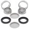 Swing arm bearing and seal kit All Balls Racing