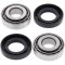 Swing arm bearing and seal kit All Balls Racing