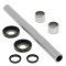 Swing Arm Bearing and Seal Kit All Balls Racing