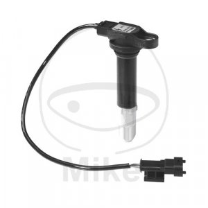 Ignition coil BERU