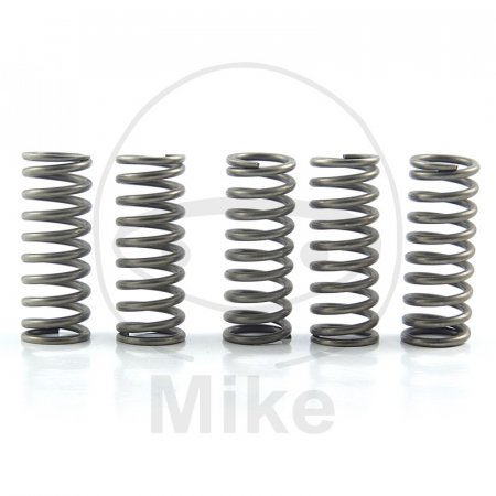 Clutch spring kit EBC CSK097 5