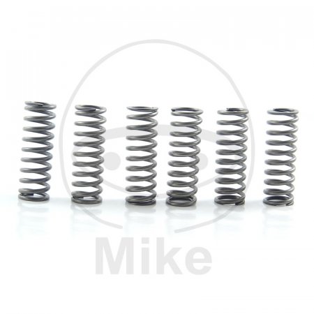 Clutch spring kit EBC CSK125 6