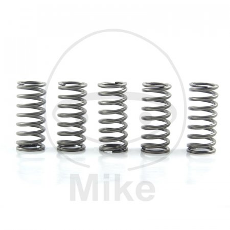 Clutch spring kit EBC CSK132 5