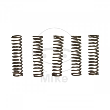 Clutch spring kit EBC CSK128 5