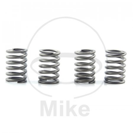 Clutch spring kit EBC CSK151 4