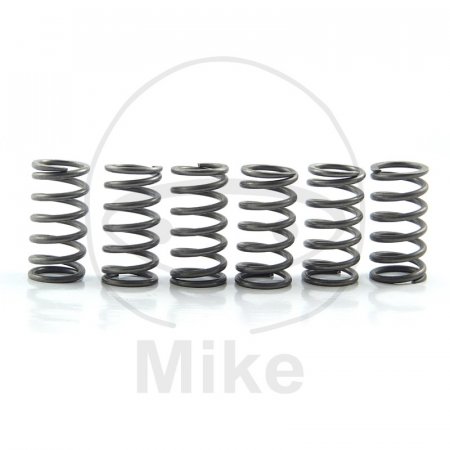 Clutch spring kit EBC CSK158 6