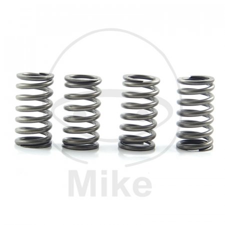 Clutch spring kit EBC CSK172 4