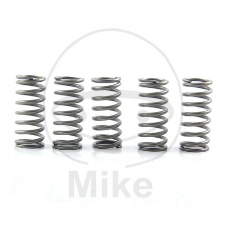 Clutch spring kit EBC CSK177 5