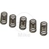 Clutch spring kit EBC CSK192 5