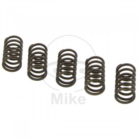 Clutch spring kit EBC CSK194 5