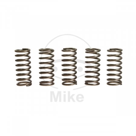 Clutch spring kit EBC CSK138 5