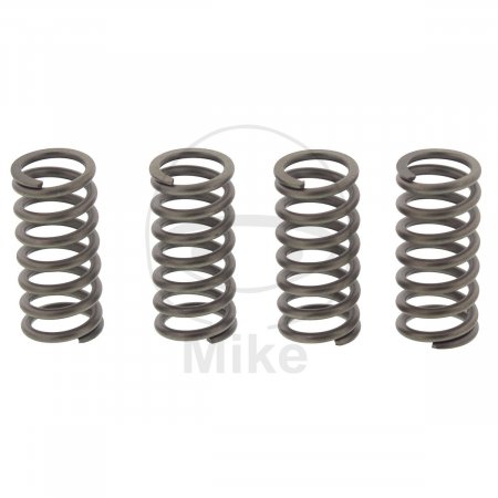 Clutch spring kit EBC CSK193 4