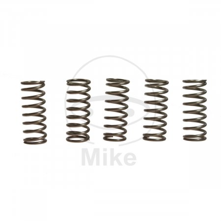 Clutch spring kit EBC CSK180 5