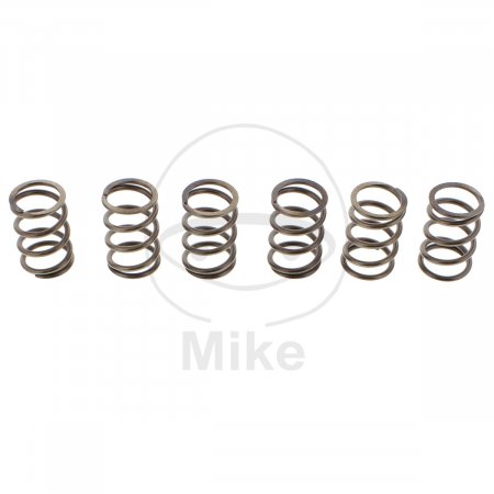 Clutch spring kit EBC CSK197 6