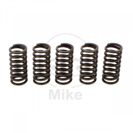 Clutch spring kit EBC CSK137 5