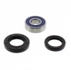 Head bearing kit with shaft seal All Balls Racing 25-1515