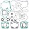 Complete Gasket Kit with Oil Seals WINDEROSA