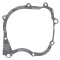 Ignition cover gasket WINDEROSA