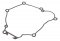 Ignition cover gasket WINDEROSA