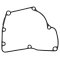 Ignition cover gasket WINDEROSA