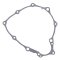 Ignition cover gasket WINDEROSA