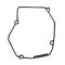 Ignition cover gasket WINDEROSA