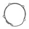 Ignition cover gasket WINDEROSA