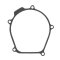 Ignition cover gasket WINDEROSA