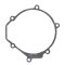 Ignition cover gasket WINDEROSA