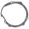 Ignition cover gasket WINDEROSA