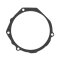 Ignition cover gasket WINDEROSA